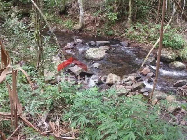 Sítio e chácara venda em Região Geográfica Imediata de Taquara - Parobé - Igrejinha, Três Coroas