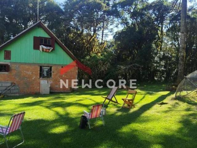 Sítio e chácara venda em Tainhas, São Francisco de Paula