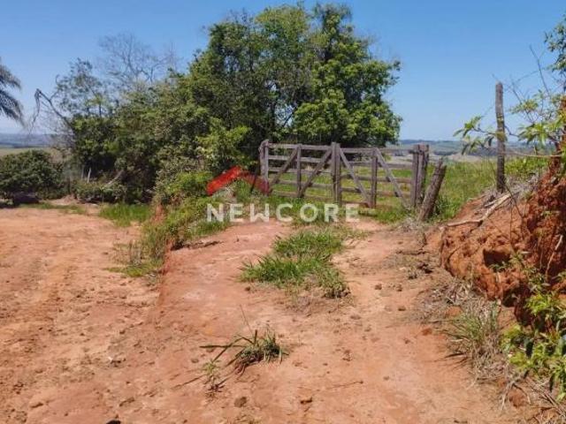 Sítio e chácara venda em Região Imediata de Itapeva, Itaporanga