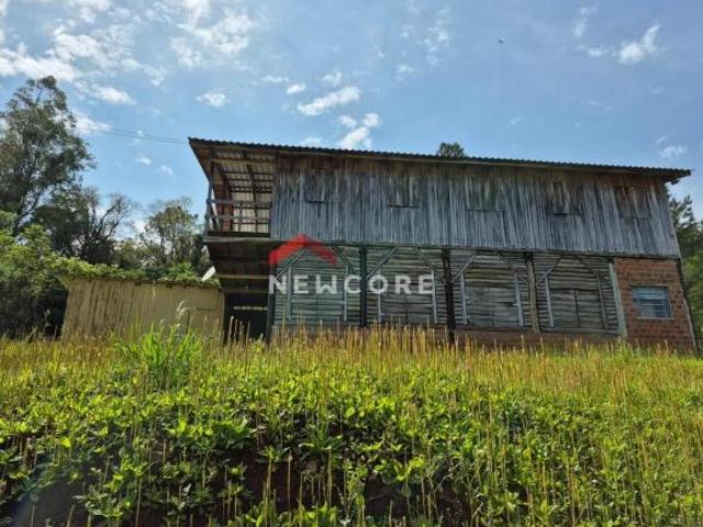 Sítio e chácara venda em Região Geográfica Imediata de Caxias do Sul, São Francisco de Paula