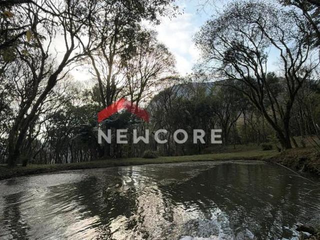 Sítio e chácara venda em Colinas de São Francisco, São Francisco de Paula