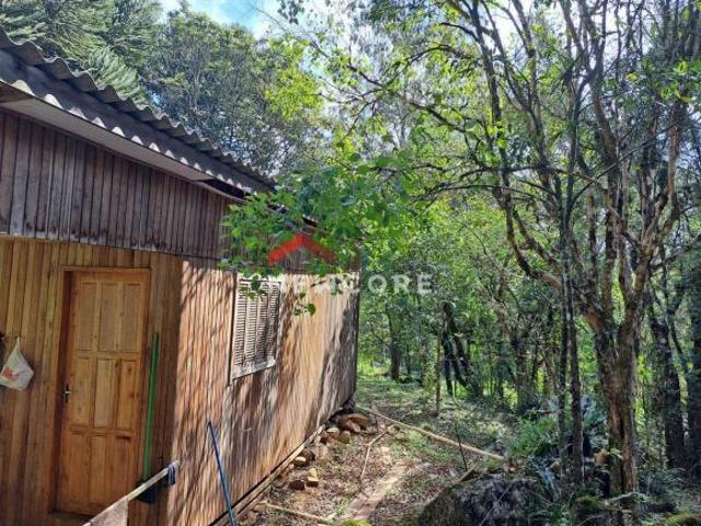 Sítio e chácara venda em Colinas de São Francisco, São Francisco de Paula