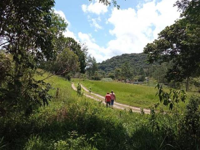 Sítio e chácara venda em Barnabés, Juquitiba