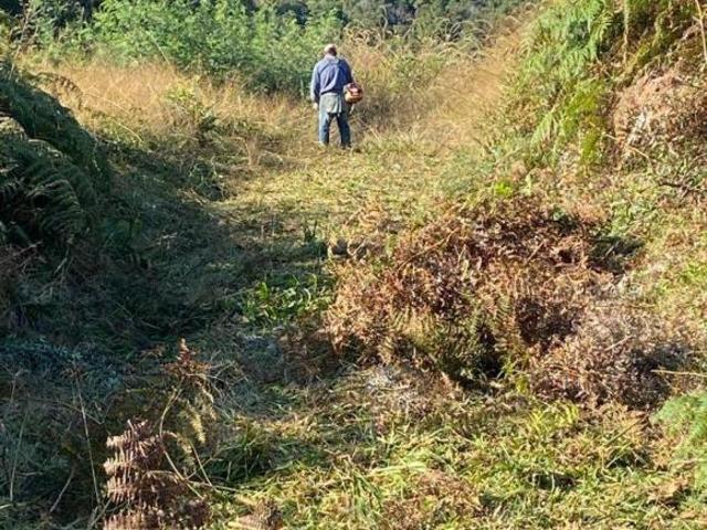 Sítio e chácara venda em Região Geográfica Imediata de Caxias do Sul, Gramado