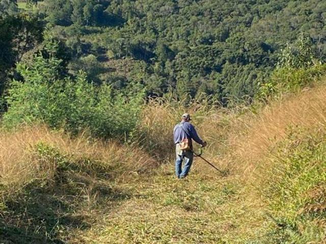 Sítio e chácara venda em Região Geográfica Imediata de Caxias do Sul, Gramado