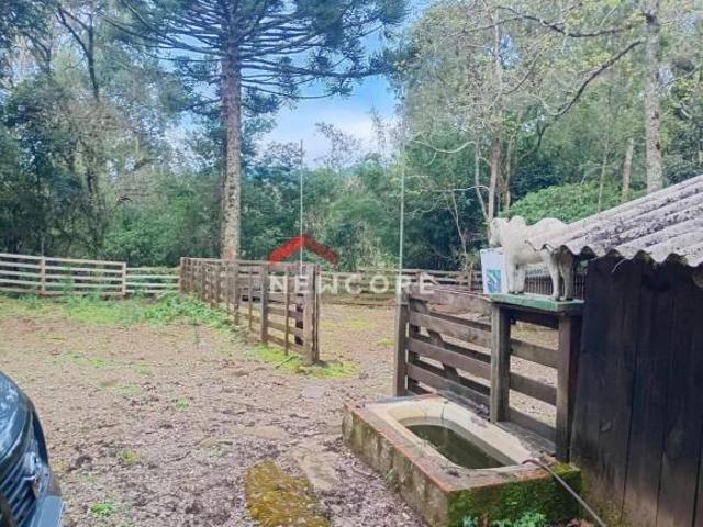 Sítio e chácara venda em Região Geográfica Imediata de Caxias do Sul, São Francisco de Paula