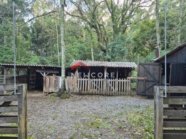 Sítio e chácara venda em Região Geográfica Imediata de Caxias do Sul, São Francisco de Paula