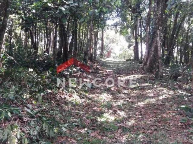 Sítio e chácara venda em Região Imediata de São Paulo, Região Metropolitana de São Paulo