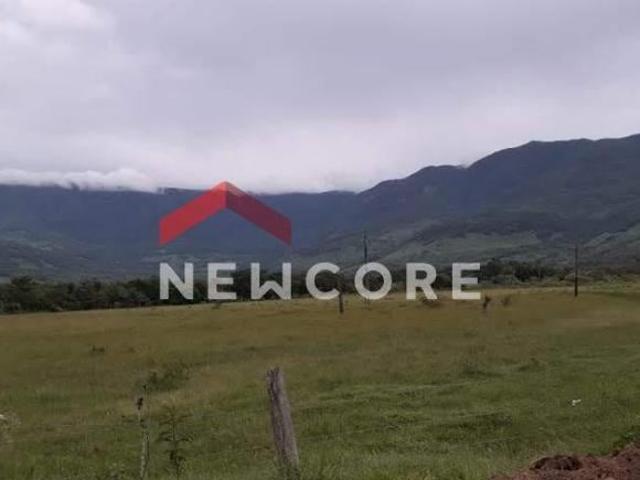 Sítio e chácara venda em Região Geográfica Imediata de Tramandaí - Osório, Aglomeração Urbana do Litoral Norte