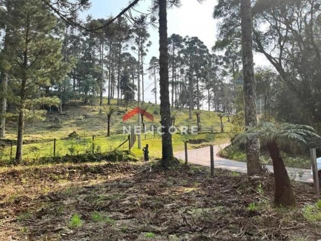 Sítio e chácara venda em Região Geográfica Imediata de Caxias do Sul, São Francisco de Paula