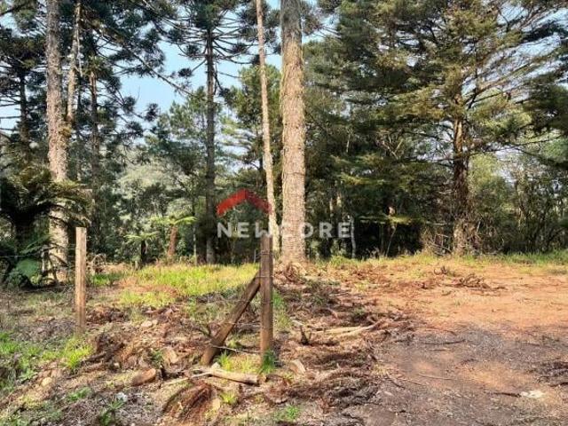 Sítio e chácara venda em Região Geográfica Imediata de Caxias do Sul, São Francisco de Paula