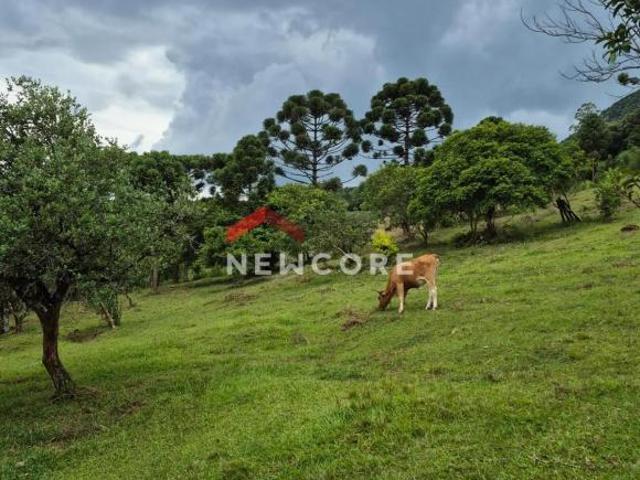 Sítio e chácara venda em Região Geográfica Imediata de Taquara - Parobé - Igrejinha, Três Coroas