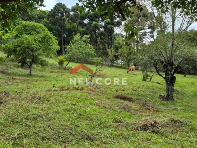 Sítio e chácara venda em Região Geográfica Imediata de Taquara - Parobé - Igrejinha, Três Coroas