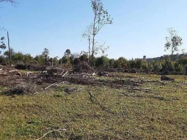Sítio e chácara venda em Região Geográfica Imediata de Pato Branco, São João