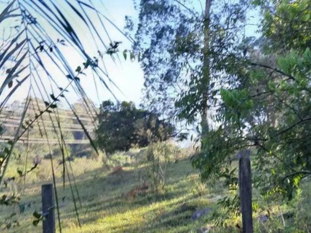 Sítio e chácara venda em Região Geográfica Imediata de Pato Branco, São João