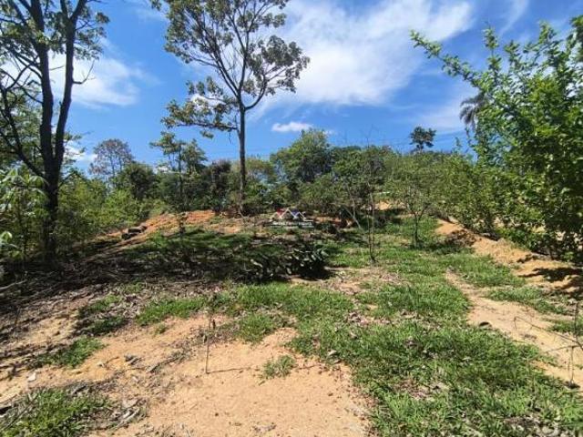 Sítio e chácara venda em Região Geográfica Imediata de Belo Horizonte, Região Metropolitana de Belo Horizonte