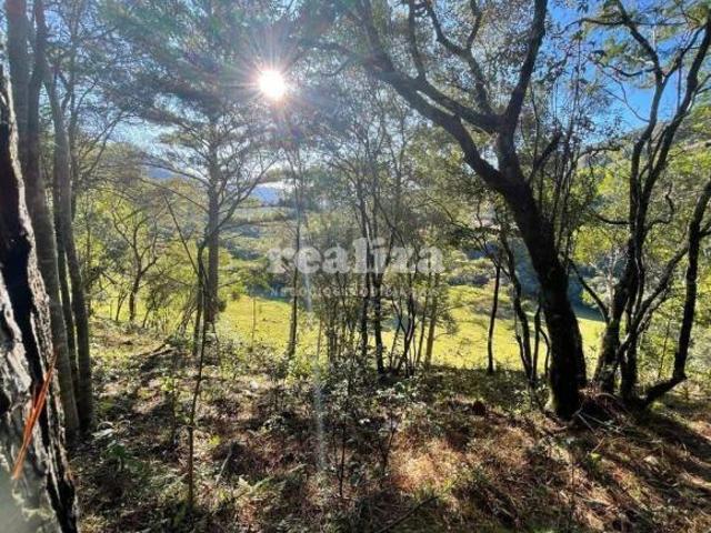Casa venda em Região Geográfica Imediata de Caxias do Sul, Gramado