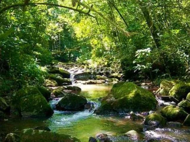 Sítio e chácara venda em Região Geográfica Imediata de Caxias do Sul, Gramado