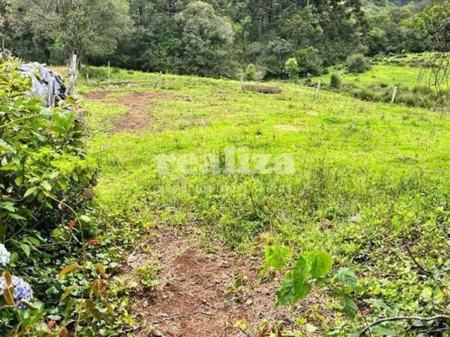 Sítio e chácara venda em Região Geográfica Imediata de Caxias do Sul, Gramado