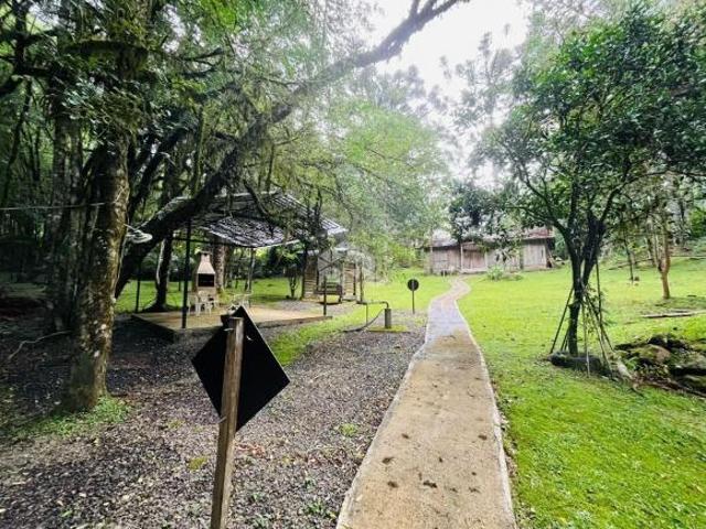 Sítio e chácara venda em Gramado
