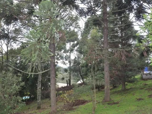 Fazenda venda em Região Geográfica Imediata de Caxias do Sul, Gramado