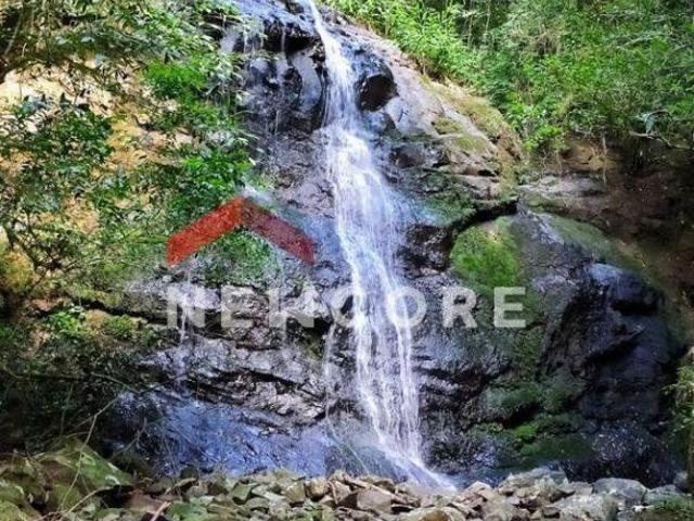 Sítio e chácara venda em Região Geográfica Imediata de Caxias do Sul, São Francisco de Paula