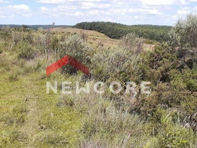 Sítio e chácara venda em Região Geográfica Imediata de Caxias do Sul, São Francisco de Paula