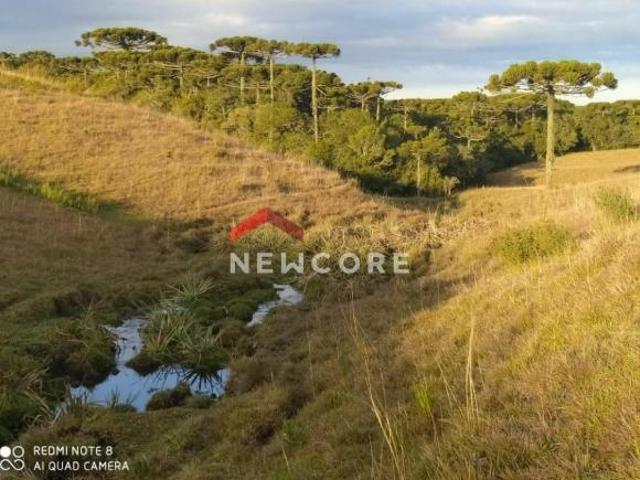 Sítio e chácara venda em Região Geográfica Imediata de Caxias do Sul, São Francisco de Paula