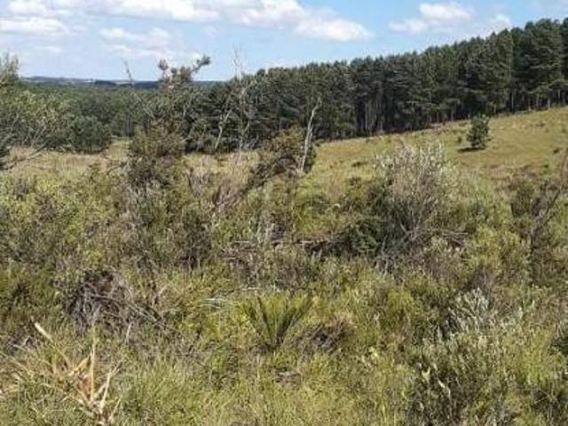 Sítio e chácara venda em Região Geográfica Imediata de Caxias do Sul, São Francisco de Paula