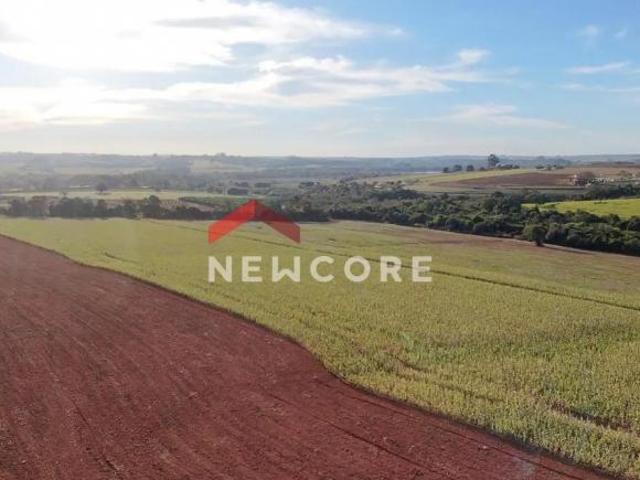 Sítio e chácara venda em Centro, Iperó