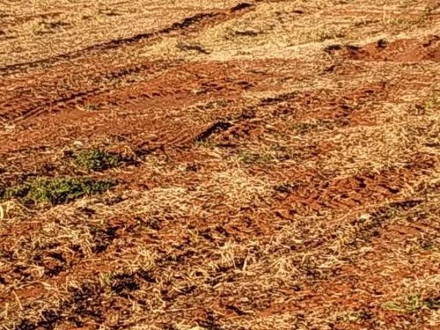 Sítio e chácara venda em Região Imediata de Itapeva, Itapeva