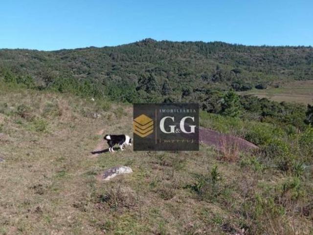 Sítio e chácara venda em Região Geográfica Imediata de Porto Alegre, Região Metropolitana de Porto Alegre