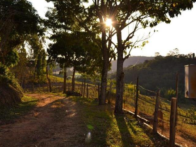 Sítio e chácara venda em Jambeiro