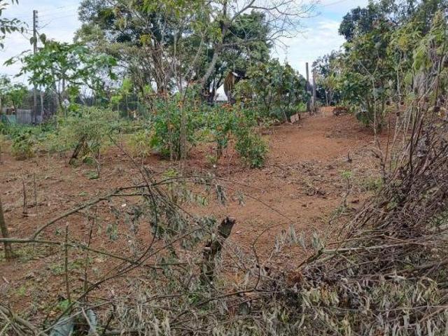 Sítio e chácara venda em Chácaras Ceres, Suzano