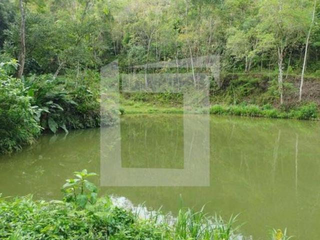 Sítio e chácara venda em Juquiá, Juquia