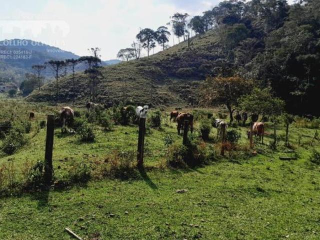 Sítio e chácara venda em Juquiá, Juquia
