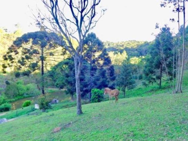 Sítio e chácara venda em Juquitiba