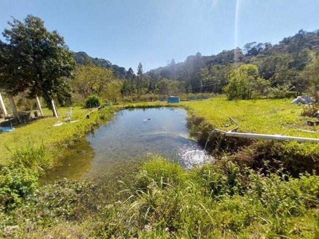Sítio e chácara venda em Juquitiba