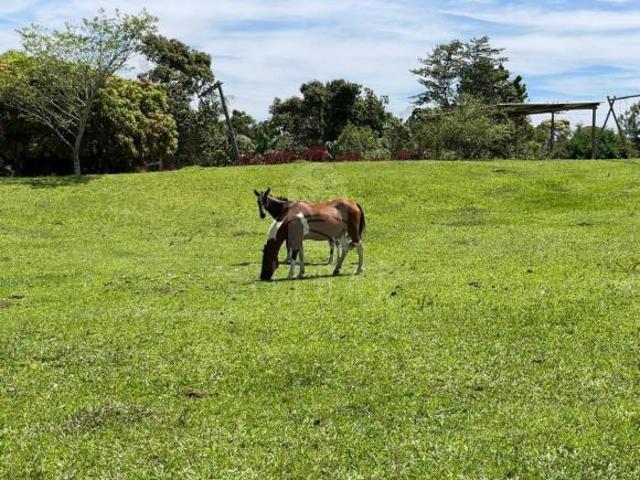 Sítio e chácara venda em Região Imediata de São Paulo, Região Metropolitana de São Paulo