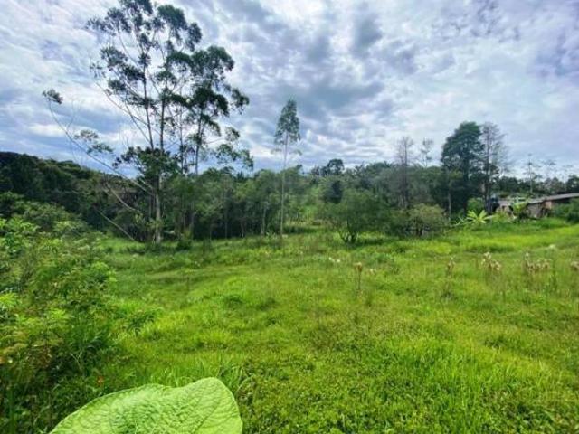 Sítio e chácara venda em Região Imediata de São Paulo, Região Metropolitana de São Paulo