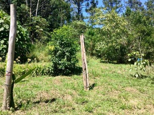 Sítio e chácara venda em Região Imediata de São Paulo, Região Metropolitana de São Paulo