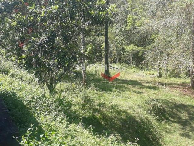 Sítio e chácara venda em Juquitiba