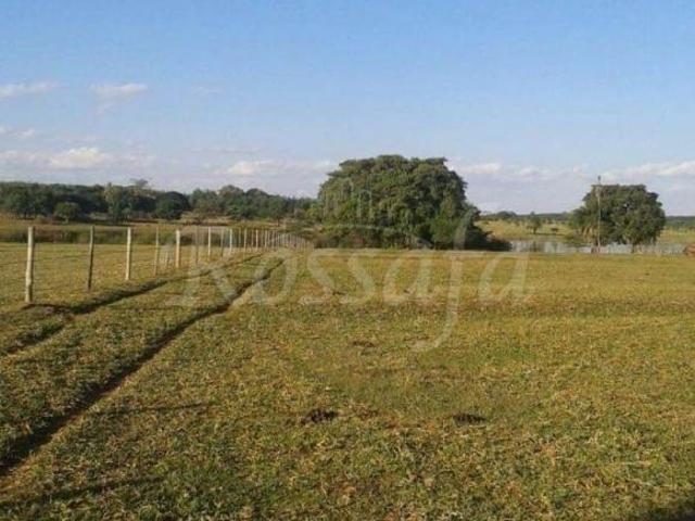 Sítio e chácara venda em Região Imediata de Santa Fé do Sul, Rubineia