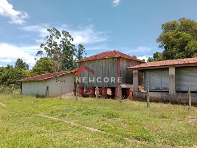 Sítio e chácara venda em São Benedito, Região Nordeste