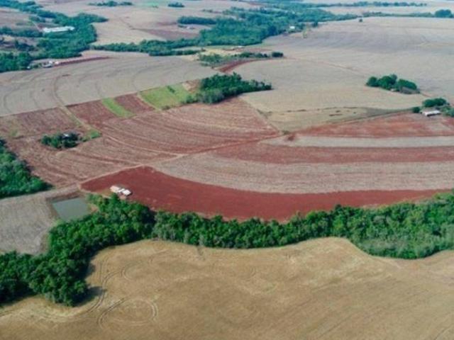 Sítio e chácara venda em Região Geográfica Imediata de Boa Vista, Boa Vista