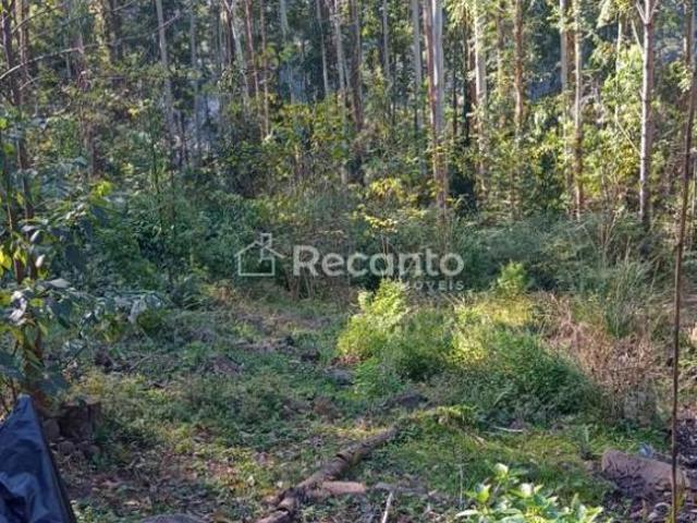 Sítio e chácara venda em Gramado