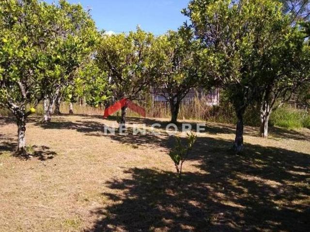 Sítio e chácara venda em Região Geográfica Imediata de Caxias do Sul, Gramado