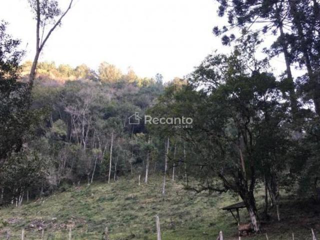 Sítio e chácara venda em Gramado