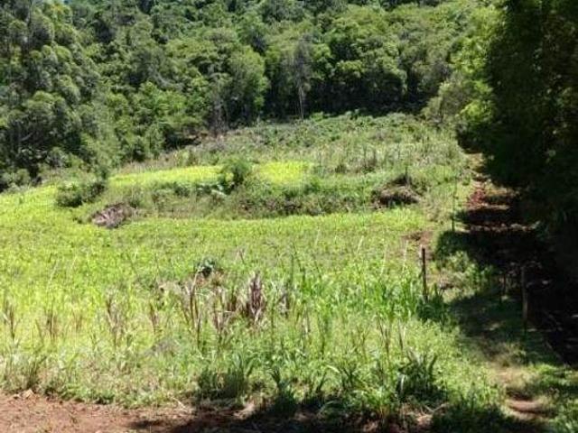 Sítio e chácara venda em Região Geográfica Imediata de Caxias do Sul, Canela