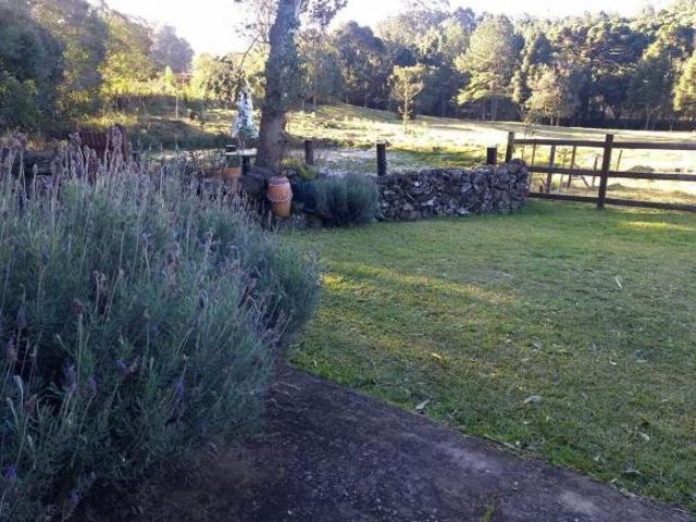 Sítio e chácara venda em Gramado